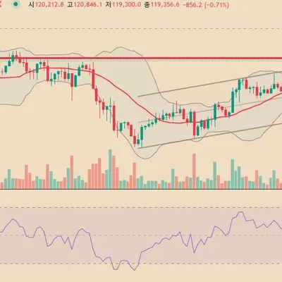 [30일 챌린지 11기 4주차]