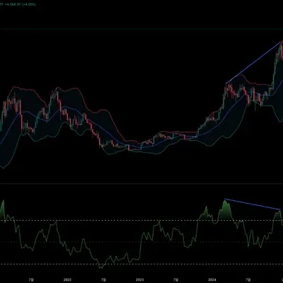 [30일 챌린지 12기 2주차] 다이버전스 찾기