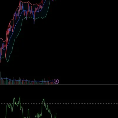 [30일 챌린지 11기 4주차]