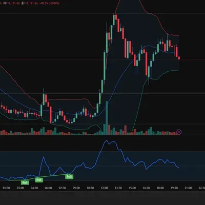 30일 챌린지  36기2주차