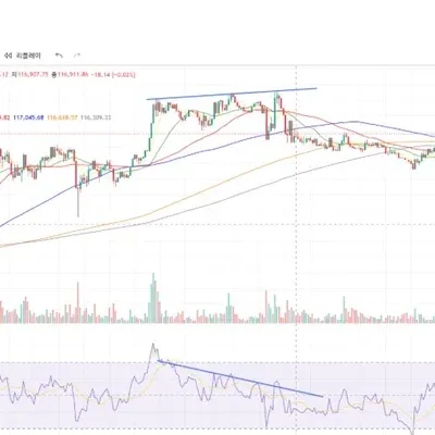 [30일 챌린지 36기 2주차]