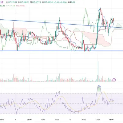 [30일 챌린지 12기 2주차] 다이버전스 구간