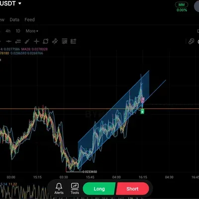 [30일 챌린지 11기 4주차]