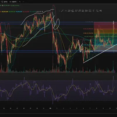 [30일 챌린지 36기 2주차]