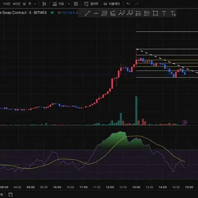 [30일 챌린지 36기 2주차]