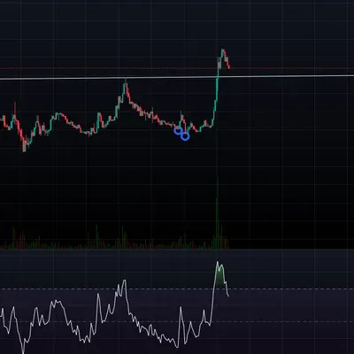 [30일 챌린지 12기 2주차] RSI 다이버전스