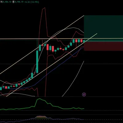 [30일 챌린지 11기 4주차]