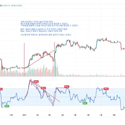 [30일 챌린지 36기 2주차] 다이버전스에 대해서 