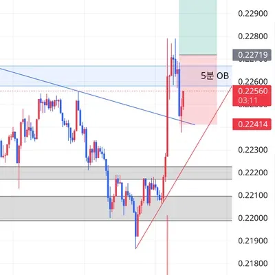 100회 트레이딩 챌린지 (56/100)