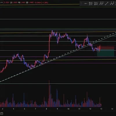 100회 트레이딩 25/100 