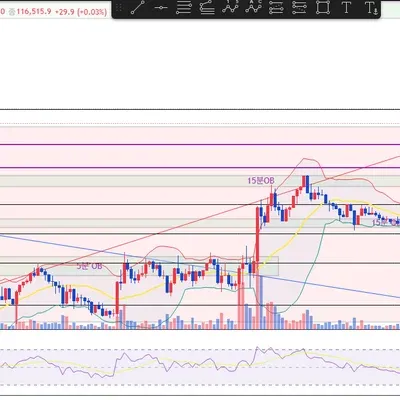 100회 트레이딩 (31회/100)