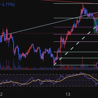 100회 트레이딩 26/100