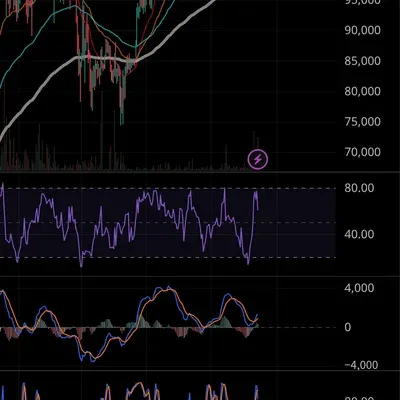 [30일 챌린지 13기 1주차]