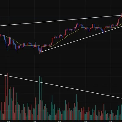 [30일 챌린지 36기 1주차]