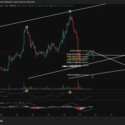 8월 15일 비트코인 숏