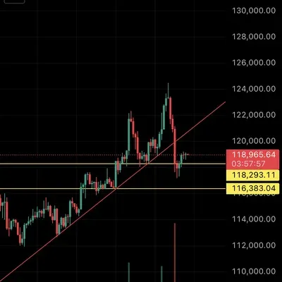 [30일챌린지 37기 1주차]