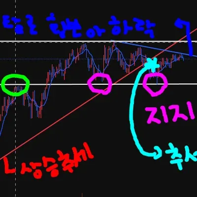 [30일 챌린지 37기 1주차]