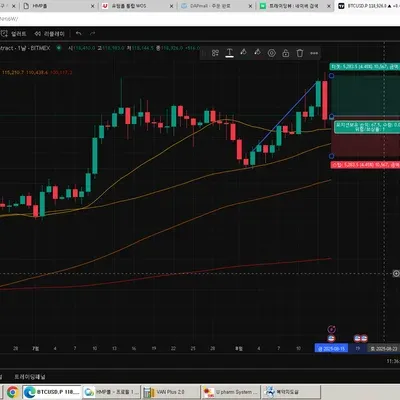 [30일 챌린지 13기 1주차] 트레이딩뷰 셋업