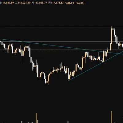 [30일 챌린지 37기 1주차] 작도 해보았습니다