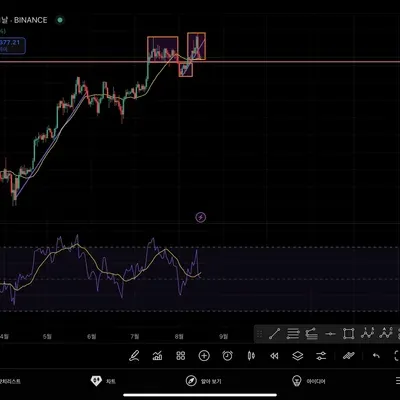 [ 30일 챌린지 37기 1주차] 꿀벌꿀 미션인증