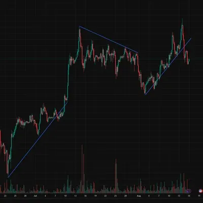 [30일 챌린지 36기 1주차]