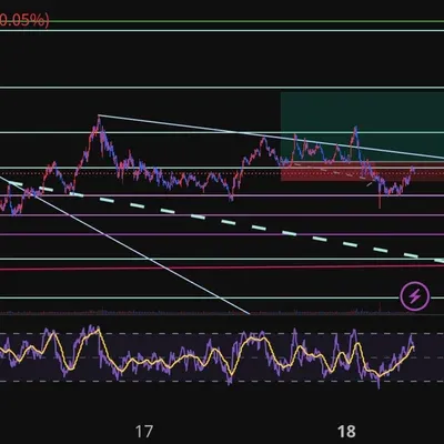 100회 트레이딩 28/100
