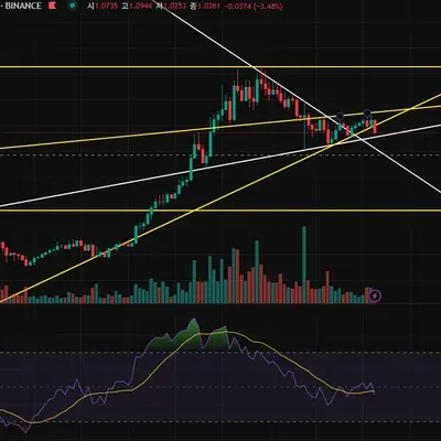 30일 챌린지 36기 3주차 