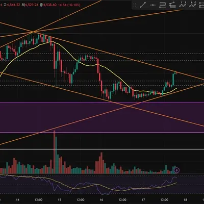[30일 챌린지 36기 3주차] 매매일지