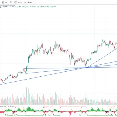 30일 챌린지 37기 1주차