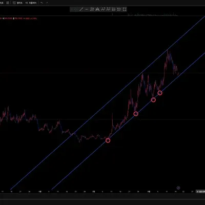 30일 챌린지 13기 1주차
