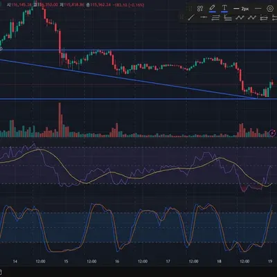 [30일 챌린지 37기 1주차]
