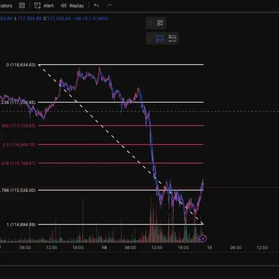 [30일 챌린지 13기 1주차] 모요