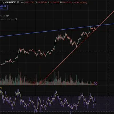 30일 챌린지 36기 4주차 (수익 인증)