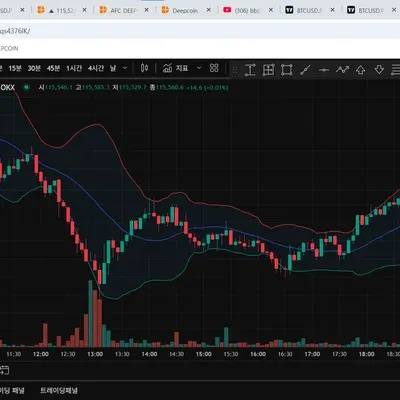 30일챌린지 13기 1주차 트레이딩뷰