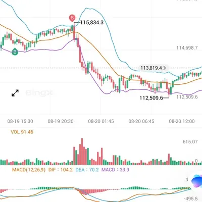 [30일 챌린지 12기 4주차]