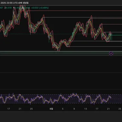 [30일 챌린지 37기 2주차]  RSI 다이버전스