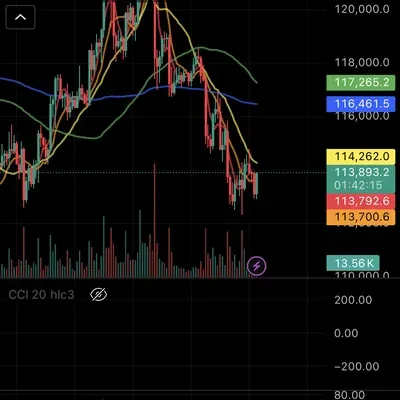 [30일 챌린지 37기 2주차]