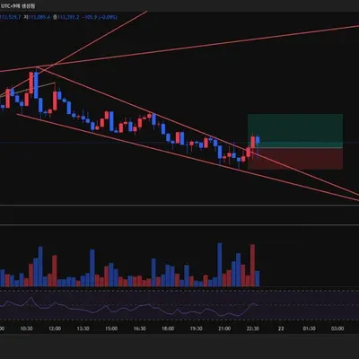 100회 트레이딩 챌린지 4/100