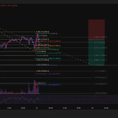 100회 트레이딩 챌린지 3/100