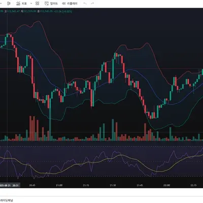 [30일 챌린지 37기 2주차]