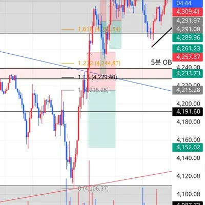 100회 트레이딩 챌린지 (81/100)