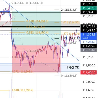 100회 트레이딩 챌린지 (80/100)