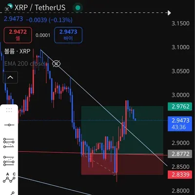 100회 트레이딩 29/100