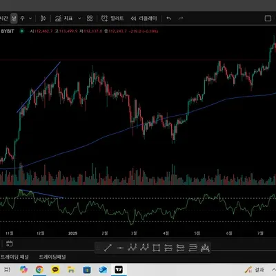 [30일 챌린지 13기 2주차] 다이버전스 구간