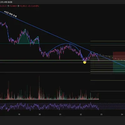 100회 트레이딩 챌린지 6/100
