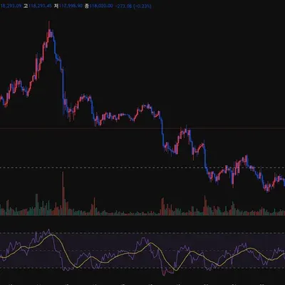 [30일 챌린지 37기 2주차]