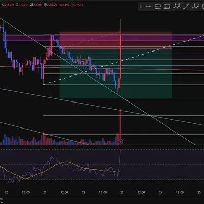 100회 트레이딩 30/100