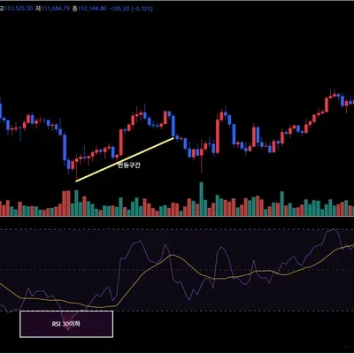 [30일 챌린지 37기 2주차] RSI 지표