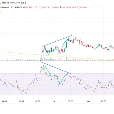  [30일 챌린지 37기 2주차]다이버전스 체크