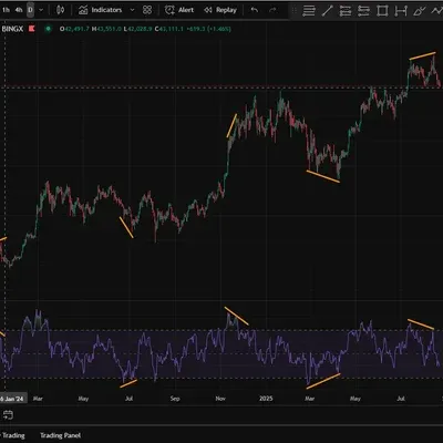 [30일 챌린지 13기 2주차] 다이버전스 체크